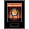 2025 Top Emerging Stars - Plaque